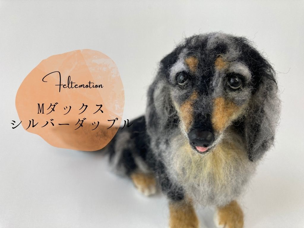 オーダー羊毛フェルト犬 マルチーズ ミニチュアダックスフンド チワワ ...